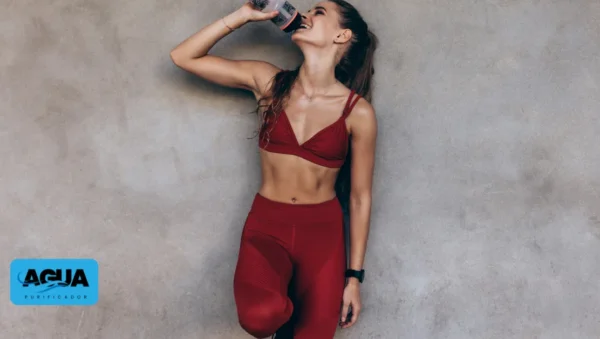 Os 10 Melhores Purificadores de Água